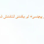 «ئۇيغۇر پوچتىسى» تور بېكىتىنى ئىشلىتىش شەرتلىرى