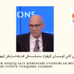 B d t kishilik hoquq aliy komissari uyghurlar mesilisidiki heriketsizliki üchün tenqidke uchridi