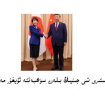 ياپونىيە باش مىنىستىرى شى جىنپىڭ بىلەن سۆھبەتتە ئۇيغۇر مەسىلىسىنى ئوتتۇرىغا قويدى