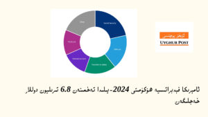 ئامېرىكا فېدېراتسىيە ھۆكۈمىتى 2024-يىلىدا تەخمىنەن 6.8 تىرىليون دوللار خەجلىگەن