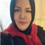 Amine Sedef, Reporter