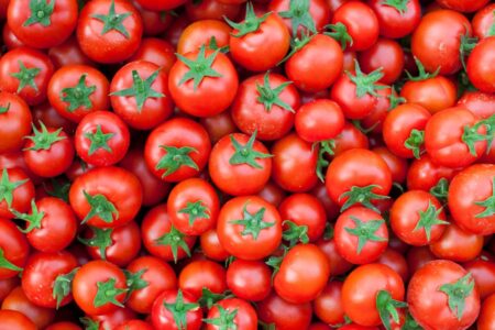 forced-labor-tomato-china