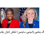 ۋىرجىنىيە 2025-يىللىق ۋالىيلىق سايلىمى: ئىككى ئايال رىقابەتچى ۋە ئۇلارنىڭ سياسەتلىرى