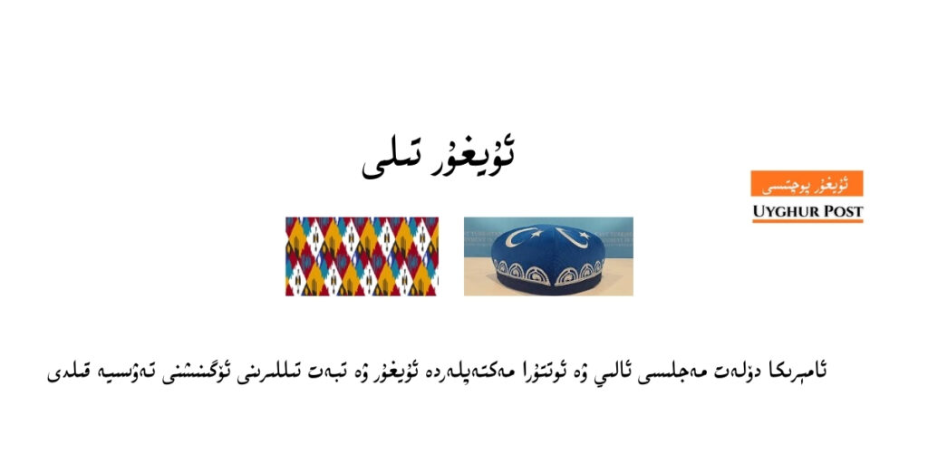 Amérika dölet mejlisi aliy we ottura mekteplerde uyghur we xitay tillirini öginishni tewsiye qildi