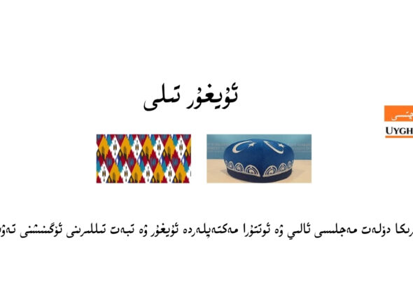 Amérika dölet mejlisi aliy we ottura mekteplerde uyghur we xitay tillirini öginishni tewsiye qildi