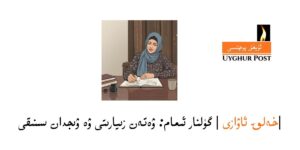 |Xelq awazi | gülnar imam: weten ziyariti we wijdan siniqi