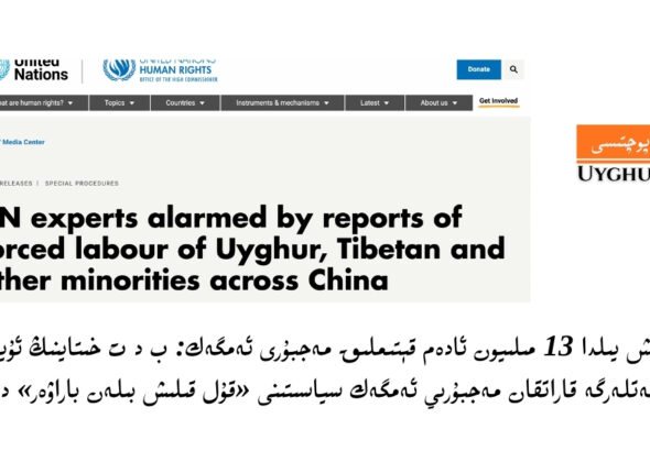 Besh yilda 13 miliyon adem qétimliq mejburi emgek: b d t  xitayning uyghur we tibetlerge qaratqan mejburiy emgek syasitini «qul qilish bilen barawer» dédi