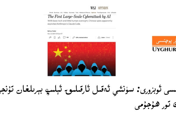 Wol kochisi obzori: süniy eqil arqiliq élip bérilghan tunji keng kölemlik tor hujumi