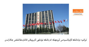 Turkiye-doletlik-hava yollari