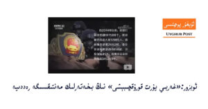 Obzor:«gherbiy yurt qoruqchibéshi» ning bixeterlik mentiqisige reddiye